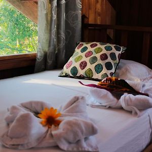Basic Triple Room